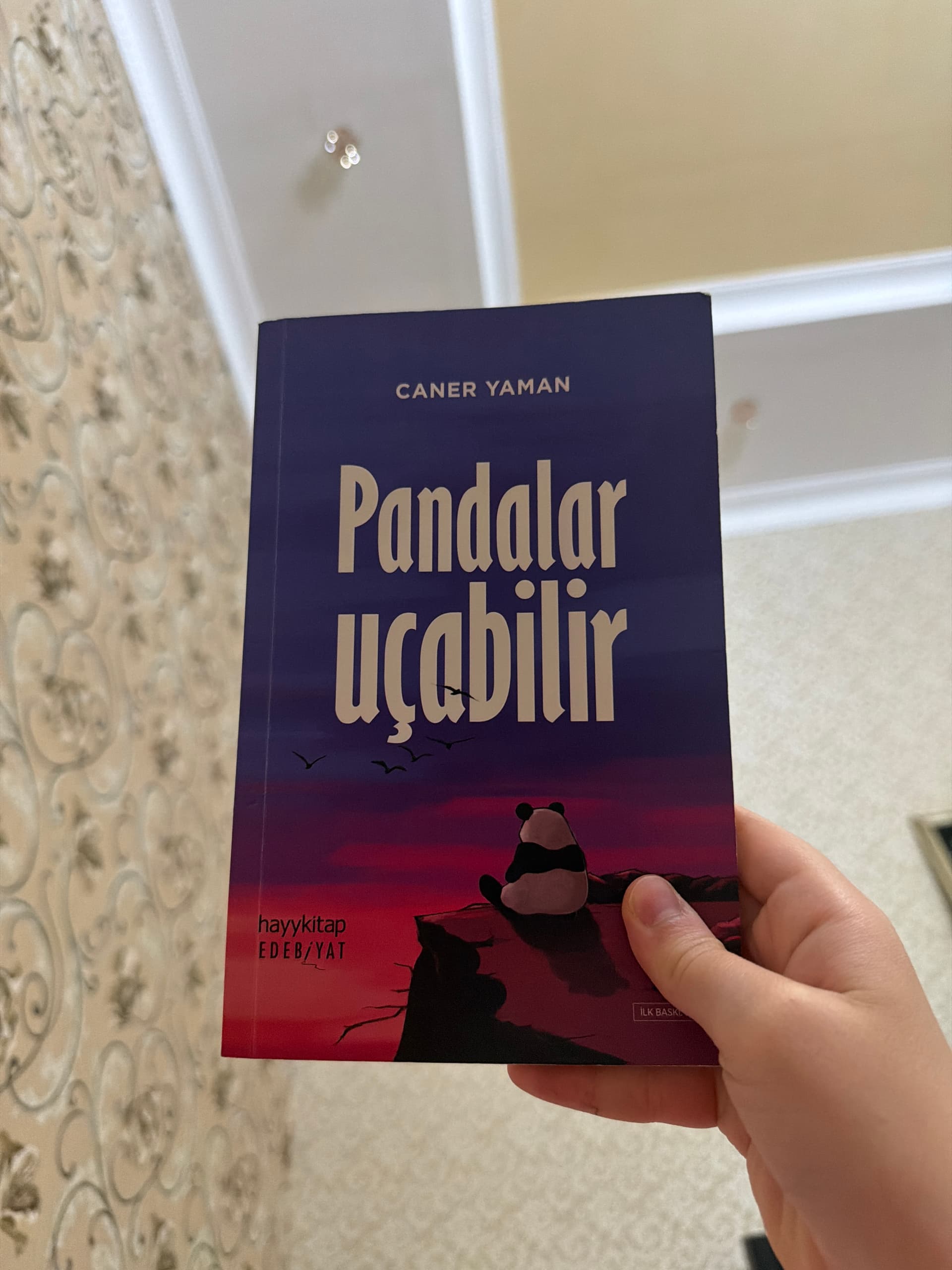 Pandalar Uçabilir - Caner Yaman