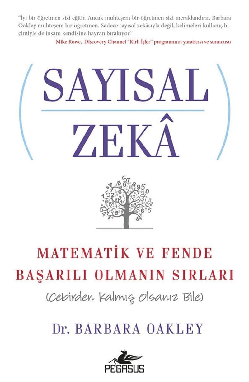 Sayısal Zeka Matematik ve Fende Başarılı Olmanın Sırları (Cebirden Kalmış Olsanız Bile)